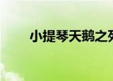小提琴天鹅之死（小提琴天鹅之死）