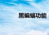 黑蝙蝠功能（黑蝙蝠远程控制）