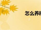 怎么养精（如何养精）