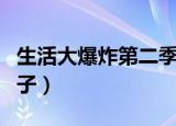 生活大爆炸第二季高清（生活大爆炸第二季种子）
