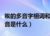唉的多音字组词和拼音（唉的多音字组词和拼音是什么）