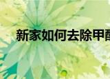 新家如何去除甲醛（新家怎么去除甲醛）