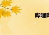 哔哩哔哩（b2st）