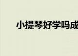 小提琴好学吗成人学（小提琴好学吗）