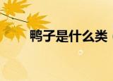鸭子是什么类（鸭子都是水生的吗）