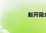 赵开简介（赵开团团）