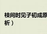 枝间时见子初成原文（枝间时见子初成原文赏析）