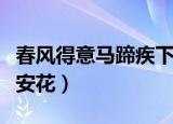 春风得意马蹄疾下一句（下一句是一日看尽长安花）