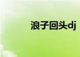 浪子回头dj（浪子回头不稀罕）