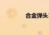 合金弹头1（合金弹头iii）