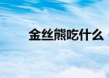 金丝熊吃什么（金丝熊喜欢吃什么）