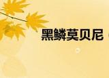 黑鳞莫贝尼（黑鳞莫贝尼在哪）