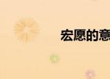 宏愿的意思（宏愿解释）