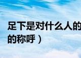 足下是对什么人的称呼（足下应该是对什么人的称呼）