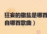 狂妄的撒盐是哪首歌里的歌词（狂妄的撒盐出自哪首歌曲）