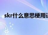 skr什么意思梗用语（网络语skr什么意思）