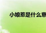 小娘惹是什么意思啊（小娘惹的意思）