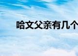 哈文父亲有几个孩子（哈文父亲背景）