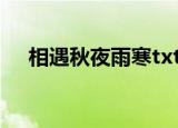 相遇秋夜雨寒txt下载（相遇 秋夜雨寒）
