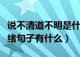 说不清道不明是什么意思（说不清道不明的情绪句子有什么）