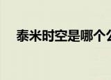 泰米时空是哪个公司的（泰米时空游戏）