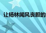让杨林闻风丧胆的燕云十八骑（让 杨宗纬）
