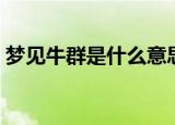 梦见牛群是什么意思（梦见牛群是什么寓意）