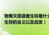 物竞天择适者生存是什么意思是形容什么的（物竞天择适者生存的含义以及启发）