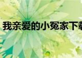 我亲爱的小冤家下载（我亲爱的小冤家中文）