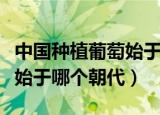 中国种植葡萄始于哪个朝代（中国种植葡萄是始于哪个朝代）