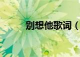 别想他歌词（别想他歌词是什么）
