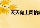 天天向上周怡旗袍（天天向上周怡）