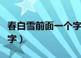 春白雪前面一个字是什么啊（春白雪前面一个字）
