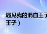 遇见我的混血王子txt百度云（遇见我的混血王子）