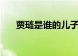 贾琏是谁的儿子（贾琏是贾赦的儿子）