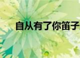 自从有了你笛子版（自从有了你 李晟）