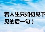 若人生只如初见下一句是什么（若人生只如初见的后一句）