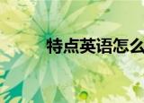 特点英语怎么说（特点英语解释）