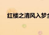 红楼之清风入梦全文（红楼之清风入梦）