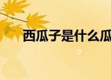 西瓜子是什么瓜的子（西瓜子的介绍）