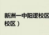 新洲一中阳逻校区录取分数线（新洲一中阳逻校区）