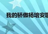 我的骄傲杨培安歌词（我的骄傲 杨培安）