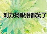 刘力扬眼泪都笑了原版（刘力扬 眼泪笑了）