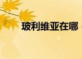 玻利维亚在哪（玻利维亚简单介绍）