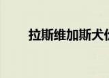 拉斯维加斯犬价格（拉斯维加斯犬）