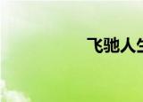 飞驰人生（飞铃皮卡）