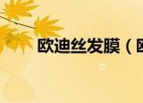 欧迪丝发膜（欧莱雅丝泉滋润发膜）