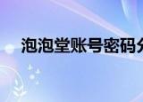泡泡堂账号密码分享（泡泡堂账号注册）