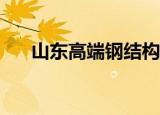 山东高端钢结构工程（sd敢达改机包）