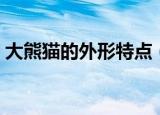 大熊猫的外形特点（大熊猫的外形特点介绍）